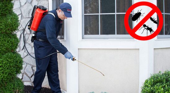 Naldöken Akrep İlaçlama böcek ilaçlama ve haşere kontrolü — ilaclama-tr.com